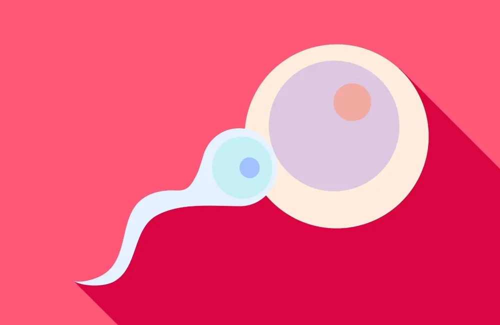 WhatsApp Image 2024-08-14 at 03.59.10