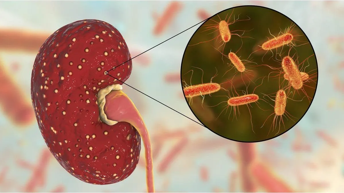 WhatsApp Image 2025-08-19 at 18.37.56