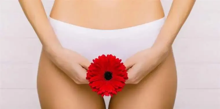 WhatsApp Image 2024-05-28 at 18.33.28