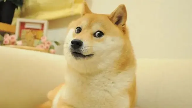 kabosujpg